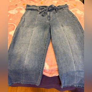 Hudson Jeans Blue Flare Wide Leg Denim